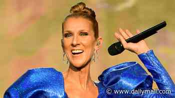 The weirdest celeb houses of all time from Celine Dion's sprawling estate with its own WATERPARK to Paris Hilton's pet mansion - as Jason Derulo reveals his underfloor shark tank