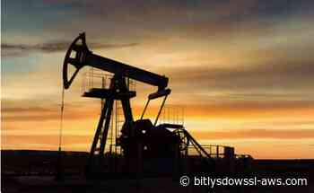 Exportaciones marítimas de petróleo venezolano crecieron 144% en primer semestre de 2026, según Bloomberg