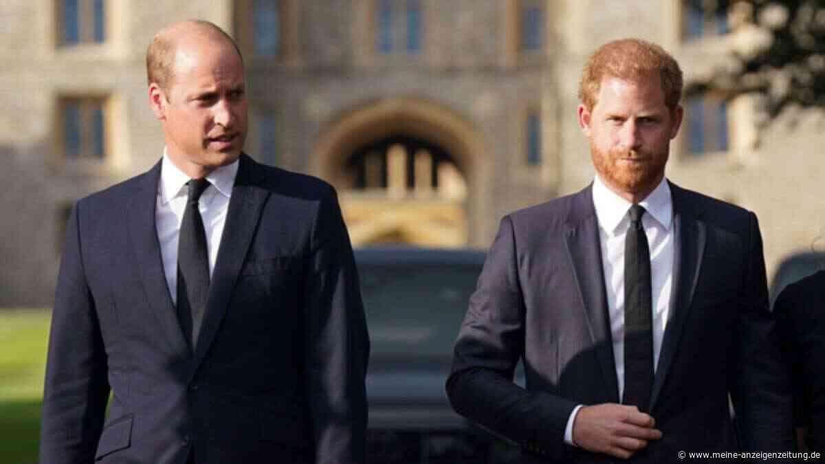 Seitenhieb gegen Prinz William? Prinz Harrys Plan sorgt für Wirbel