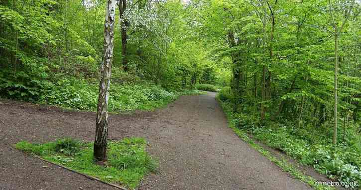 Urgent manhunt launched after boy, 4, abducted in park in front of mother