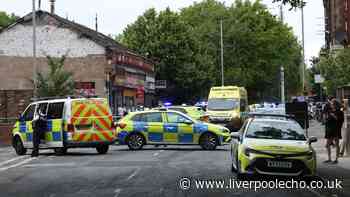Gunshots ring out after man 'chased into café'