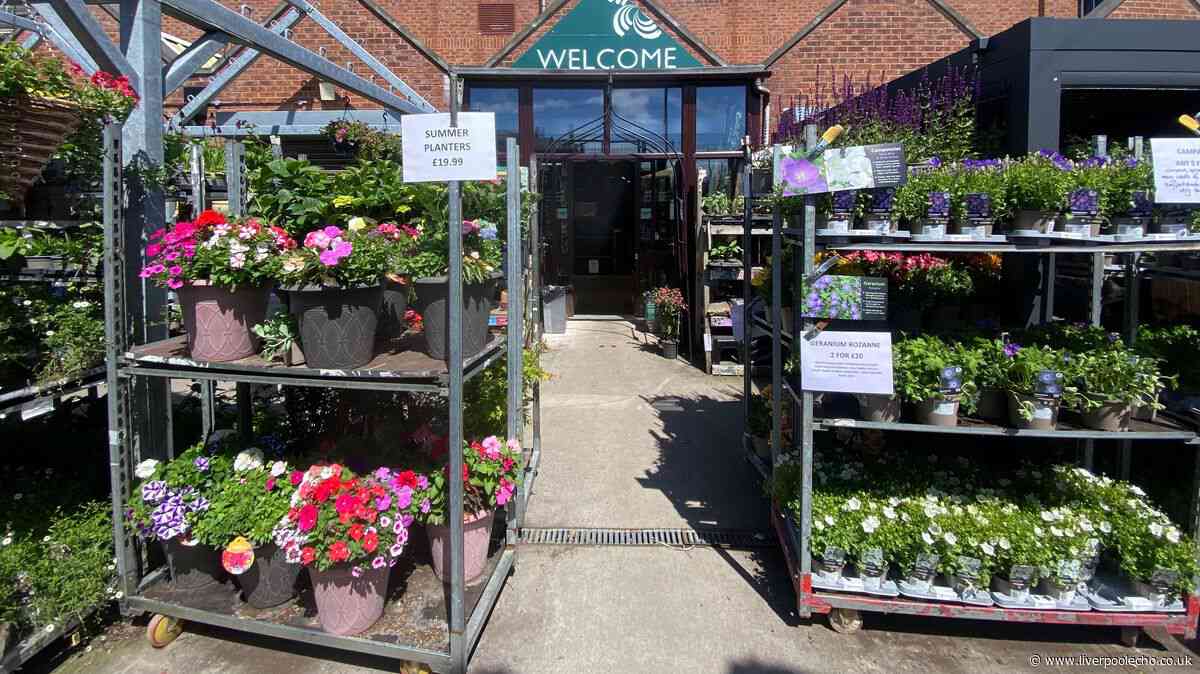 I visited a Waterloo garden centre with a charming café that's a short walk to the beach