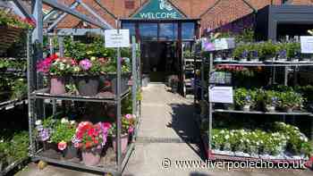 I visited a Waterloo garden centre with a charming café that's a short walk to the beach