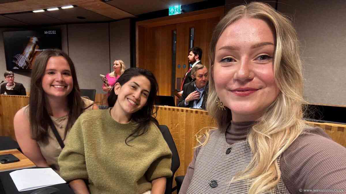 'I came to Cardiff for a house party. Now I'm a Senedd Member'
