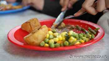 Schools set to publish menus online so parents know exactly what their kids are eating