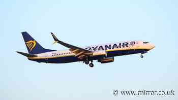 Passengers left 'crying' after Ryanair flight accidentally takes off leaving 50 people behind