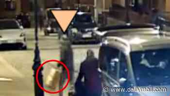 Moment Algerian gang steals £600,000 jewellery from Abu Dhabi royals outside St Pancras station after they arrive on Eurostar