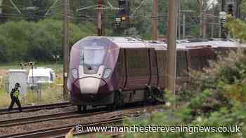 Nine people fighting for life after driver killed in Bedfordshire train crash