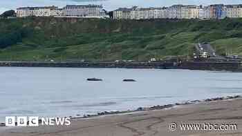 Two vehicles become stranded in sea at beach
