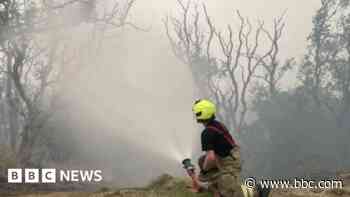 Smoker watching wildfire 'started second blaze'
