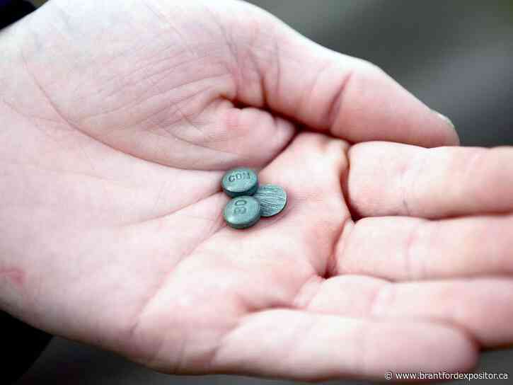 Overdose deaths prompt Grand Erie Public Health Alert