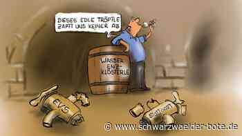Spannendes aus der Region: Kraftwerkspläne und Gesundheitsreform – die Themen der Woche in Karikaturen