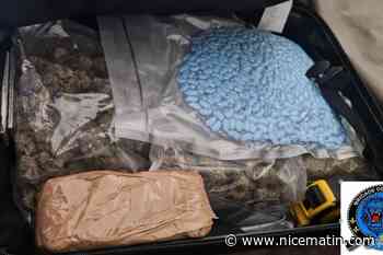 Cannabis, cocaïne, drogues de synthèse, 64.000 euros en espèces… Un vaste réseau de narcotrafic démantelé entre Cannes et Antibes