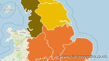 60-hour health alert issued for Liverpool