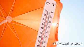 Heatwave warning as expert names lesser-known health risk — not sunburn