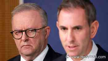 An embarrassment from Jim Chalmers' past comes back to haunt him. Albo now faces the call that could define his leadership: PVO