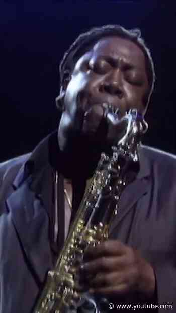 Jungleland (Live in New York City)  #brucespringsteen #estreetband #shorts