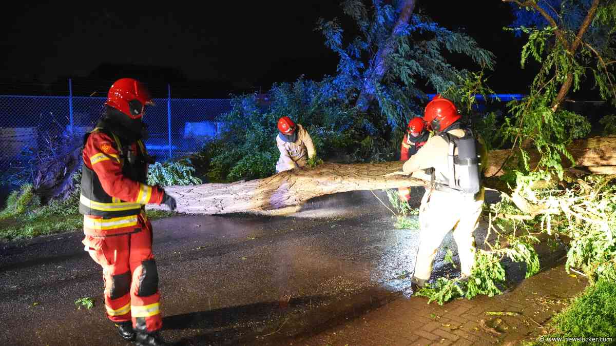 Verzekeraars zien schademeldingen oplopen na noodweer: ’Het is behoorlijk druk’