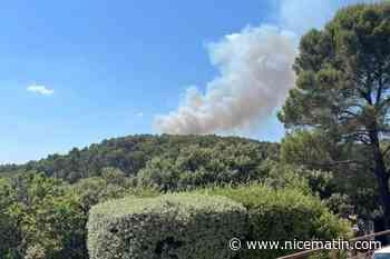 Un départ de feu de forêt mobilise une cinquantaine de pompiers et deux hélicoptères près de Draguignan