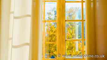 Homes will stay cool all summer without a fan or AC if you use one bedroom item