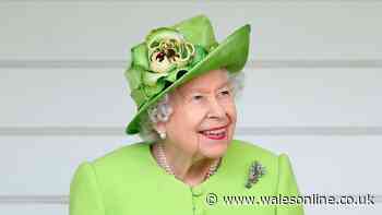 'I met Queen Elizabeth II when I was pregnant - her comment was essential'