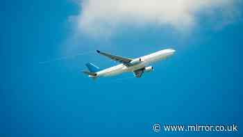 Travel rules could allow you to avoid new EU EES delays - eligibility