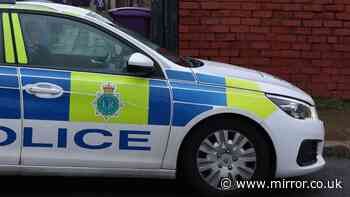 Boy, 13, sexually assaulted at Liverpool bus stop as police hunt for suspect