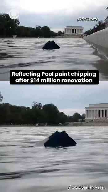 Reflecting Pool paint chipping after $14 million renovation #shorts