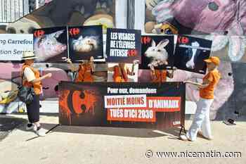 « Un poulet déformé par la sélection génétique, une dinde élevée au milieu de ses déjections, un lapin enfermé en cage… » : l’association L214 se mobilise devant Carrefour à Nice et Antibes