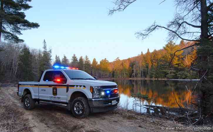Manitoulin woman fined for repeatedly letting dogs run at large