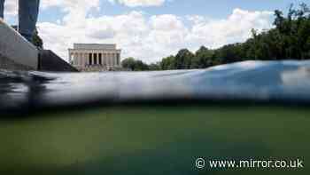 Donald Trump blames bungled $14m swamp green reflecting pool refurb problems on 'vandals'