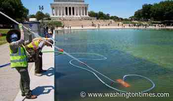 Trump says 'vandalism' caused Reflecting Pool's paint peeling