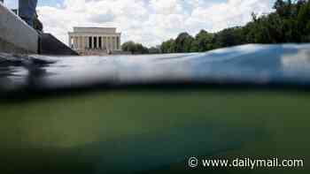Former Olympian is arrested for allegedly vandalizing Reflecting Pool... but he claims he merely touched it