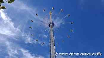 'I went on one of the largest rides in the world at the Hoppings and it was insane'