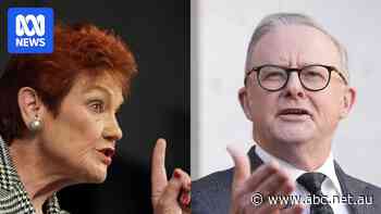 On health and child care, Labor might have found Pauline Hanson's kryptonite