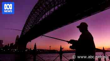 It's the winter solstice today, so when will mornings get lighter?