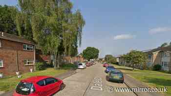 Teenager dead after stabbing as four arrested on suspicion of murder in Dorset