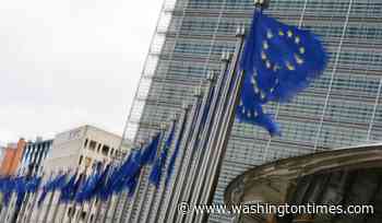 European Parliament passes sweeping deportation overhaul as lawmakers chant 'send them back'