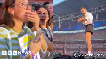 Harry Styles delights fan who works on 'dog bus'