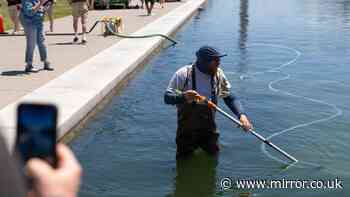 Unquestionable proof Donald Trump is WRONG in reflecting pool row after 'vandals' claim