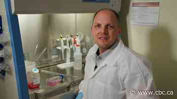 National Microbiology Lab seeks new leader again