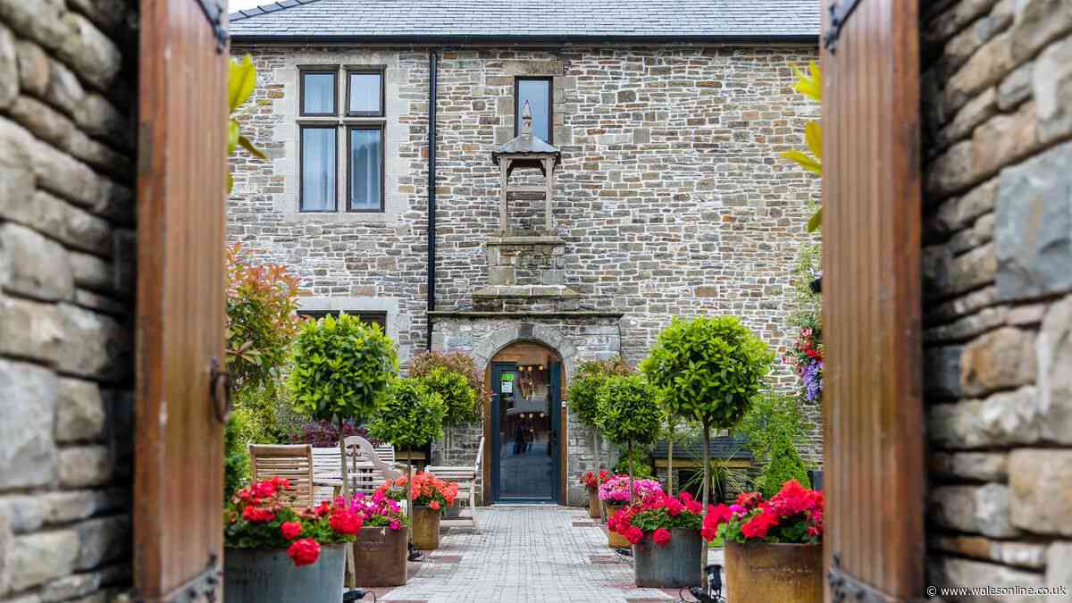 Posh hidden hotel sat behind a Welsh housing estate serves one of the UK's best afternoon teas