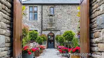 Posh hidden hotel sat behind a Welsh housing estate serves one of the UK's best afternoon teas