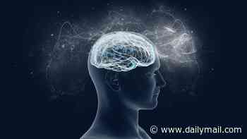 Scientists propose radical new theory of consciousness - and claim it doesn't depend on flesh and blood
