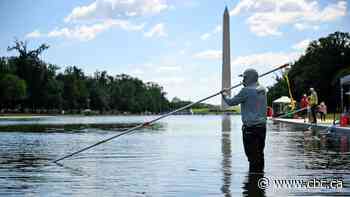 Trump, without substantiation, blames Reflecting Pool renovation woes on vandalism