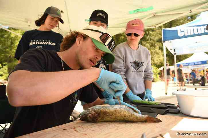 Students dissect some of the 100s of invasive fish hauled out during Cultus Lake derby