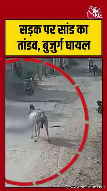 Shorts। सड़क पर सांड का तांडव, बुजुर्ग घायल #bullattack #viralvideo #shorts