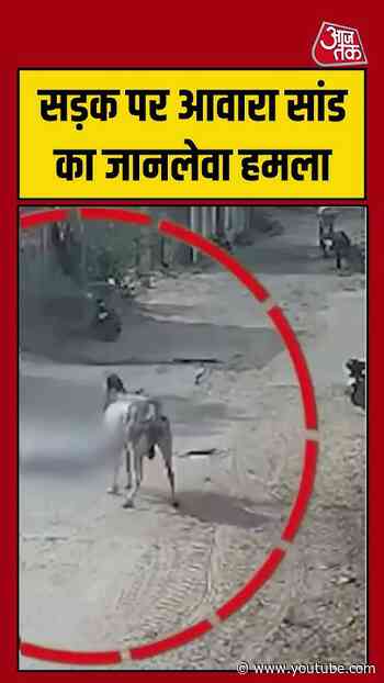 Shorts। सड़क पर आवारा सांड का जानलेवा हमला #bullattack #viralvideo #shorts