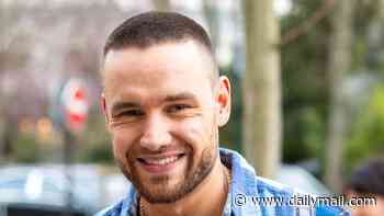 Revealed: Liam Payne's eight-year-old son Bear will inherit all of the tragic One Direction star's £21million fortune