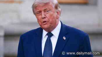 Former Olympian seen in handcuffs as Trump threatens 'years in jail' and more arrests after vandals SABOTAGE Reflecting Pool with 'corrosive and destructive chemicals'